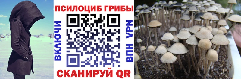 Галлюциногенные грибы GOLDEN TEACHER  Купить где  Княгинино 